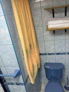 a bathroom with a blue toilet and a shower curtain at Departamento acogedor céntrico in Cusco