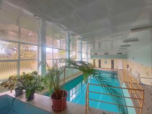 a large indoor pool with plants in a building at FeWo mit Pool in Baiersbronn in Baiersbronn
