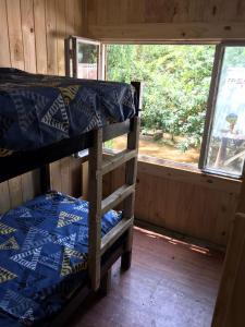 2 Etagenbetten in einem Zimmer mit Fenster in der Unterkunft Isla Curubica in Tigre