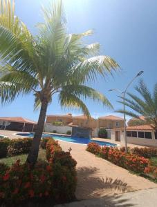 eine Palme vor einem Gebäude mit Swimmingpool in der Unterkunft APARTAMENTO VACACIONAL - ISLA DE MARGARITA - Th in Porlamar