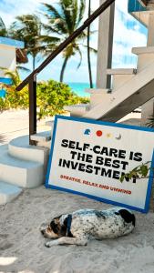 a dog laying on the beach next to a sign at Pronoia Casa de Playa in Mahahual