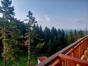 a wooden deck with a view of a forest at Art Studio Borovets Semiramida in Borovets