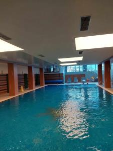 a large swimming pool with blue water in a building at Art Studio Borovets Semiramida in Borovets