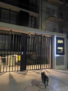 un gatto nero seduto di fronte a un edificio di More Echevarriarza apartamento de estreno!! a Montevideo