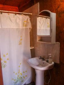 ein Bad mit einem Waschbecken und einem Duschvorhang in der Unterkunft El Colibrí - Quebrada de la Luna. in Charbonier