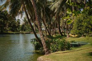 a group of palm trees next to a body of water at Flat Amplo e Confortável à Beira Mar em Jatiúca! in Maceió