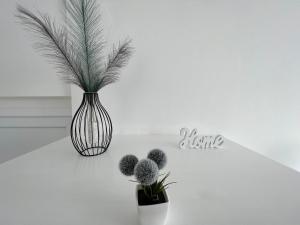 Un jarrón blanco y negro con una planta. en Casa Rodella -SUITE- San Sisto Perugia, en Perugia
