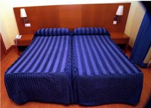 Cama o camas de una habitación en Hotel Ibaigune