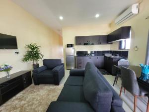 uma sala de estar com um sofá e cadeiras e uma cozinha em Singhs elite apartment em Nadi