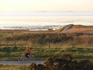 a person riding a bike on a path near the beach at Apartment 214 im Haus Frauenpreiss in Sahlenburg