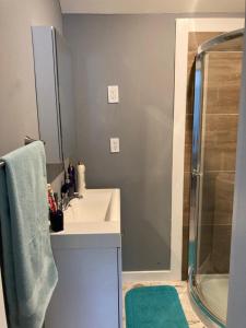 a bathroom with a sink and a shower at The GREEN Tiny House in Houston