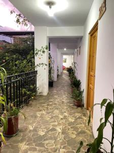 un pasillo de una casa con macetas en El Oasis de Dorita en Caraz
