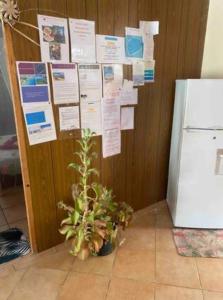 Cette chambre est dotée d'un mur avec des papiers sur un réfrigérateur. dans l'établissement Tikehau HereArii Airbnb, à Tikehau