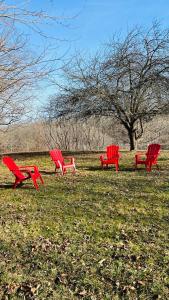 four red chairs sitting in the grass in a field at Tranquil Coastal Escape in Port Stanley