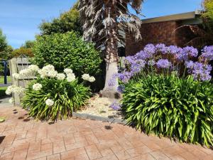 un giardino con fiori viola e bianchi e una palma di Ocean Breeze - Foodies Delight - Scamander a Scamander