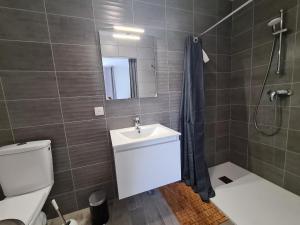 Koupelna v ubytování Maison calme avec jardin et terrasse, proche Châteauroux, 3 chambres, 3 salles de bain, parking inclus - FR-1-591-359