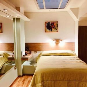 een slaapkamer met een groot bed en een dakraam bij Peatonal Suites Paraná in Paraná