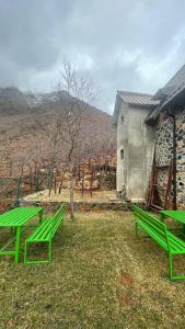 zwei grüne Bänke im Gras neben einem Gebäude in der Unterkunft Lindja e Diellit in Bulqizë