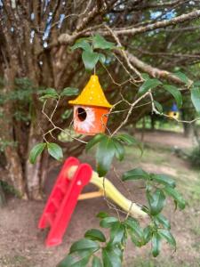 een vogelvoer hangt aan een boom bij Casa no campo in Bom Jardim