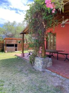 Κήπος έξω από το El Gran Tacú - El Descanso