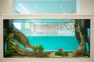 Bazén v ubytování Pico Kids Pool Villa nebo v jeho okolí