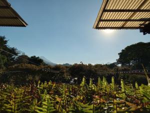 um campo de plantas verdes com o céu no fundo em HOTEL Y RESTAURANTE HACIENDA LOS VOLCANES em Santa Lucía Milpas Altas