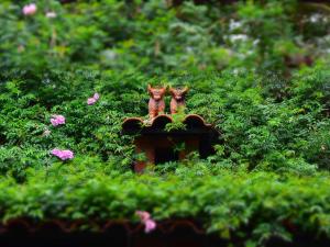 two figurines of cats sitting on top of a bird house at CASA AUGUSTA in Pisac