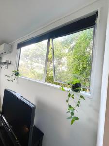 a window with a potted plant in a room at Double Bedroom with Private Bathroom in Porirua