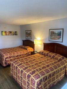 una habitación de hotel con 2 camas y una lámpara en Savannah Lodge, en Savannah