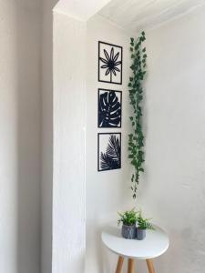 Fotografie z fotogalerie ubytování Suite Brava v destinaci Búzios