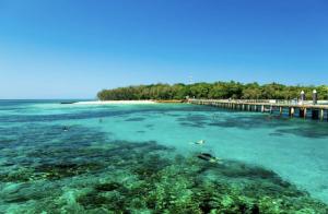 a group of people swimming in the ocean near a pier at Little Drifter Cairns in Cairns