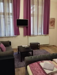 ein Wohnzimmer mit einem Sofa und einem TV in der Unterkunft Mandy Apartments in Budapest