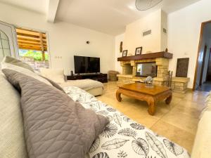 uma sala de estar com um sofá e uma lareira em La Villa Dos D'âne em La Possession