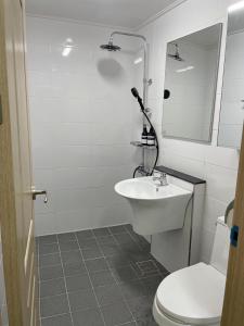 濟州的住宿－hola! Hostel，一间带水槽、卫生间和镜子的浴室