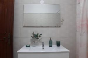 GG Massama في Fontainhas: حوض الحمام مع إناء من الزهور ومرآة