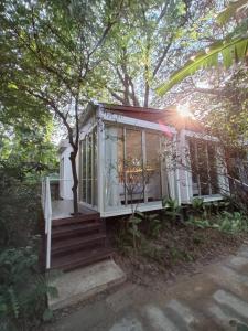 a tiny house in the woods with a tree at Cochet in Chiang Mai