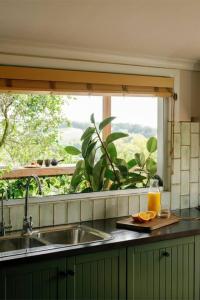 un bancone della cucina con lavandino e finestra di The Honey Barn, Wabi-Sabi Cottage Byron Hinterland a Clunes