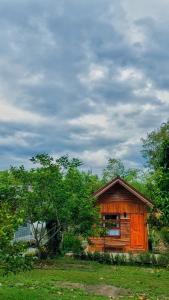 une petite cabane en bois dans un champ arboré dans l'établissement Payim farmstay, 