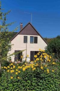 dom z żółtymi kwiatami przed nim w obiekcie La Maison des Roses w mieście Drachenbronn