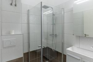 y baño con ducha acristalada y lavamanos. en Villa Sofija, en Liubliana