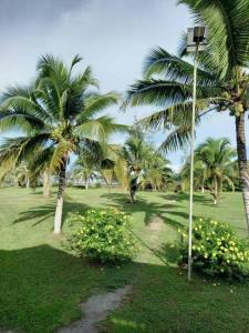 Gallery image of Helang Beach View in Kimanis