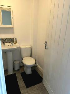 a bathroom with a white toilet and a sink at Hatley Residencies in Dudley