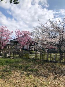 a fence with flowering trees in front of a house at tsubame-ya in Kyoto +64 photos