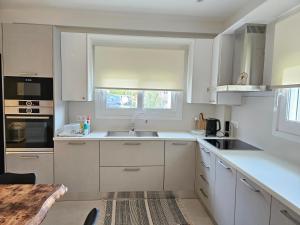 Kuchyň nebo kuchyňský kout v ubytování NAVSIKA LUXURY APARTMENT