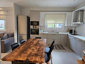 Kuchyň nebo kuchyňský kout v ubytování NAVSIKA LUXURY APARTMENT