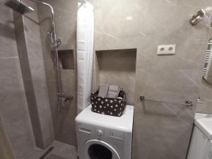 スラヴォンスキ・ブロッドにあるApartment Centarのバスルーム(洗濯機、シャワー付)