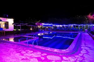 a swimming pool at night with purple lights at Corbett Tiger Retreat in Rāmnagar