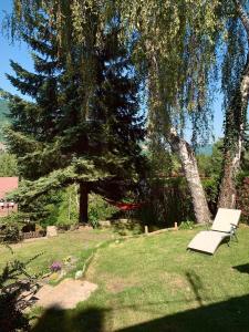 un banco blanco sentado en la hierba bajo un árbol en Dömös Cube - kiadó nyaraló kilátással a Dunakanyarra en Dömös