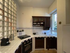 uma cozinha com um lavatório e um fogão em Accomodo MIB52 Bivano Porta Genova em Milão
