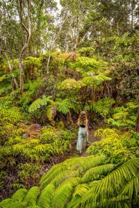 une femme se promenant à travers une forêt luxuriante et verdoyante dans l'établissement Volcano Inn Bed n Breakfast, à Volcano